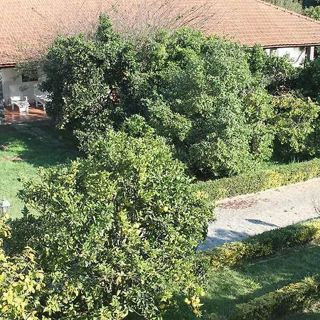 Semesterbostad Casa Da Miza *